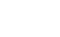 SKYY Vodka